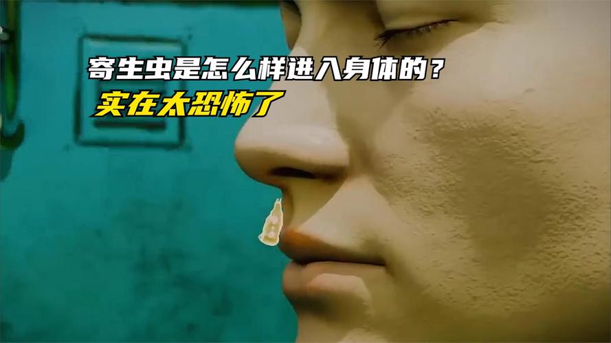 内部寄生虫如何下载 (专家讲解视频免费观看入口)