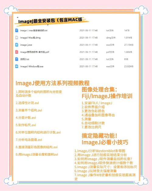 SOAV60FF在哪下载 (教你快速找到免费安装包的方法)