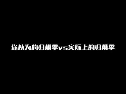 归巢最新版本有哪些新内容？老玩家带你快速了解！
