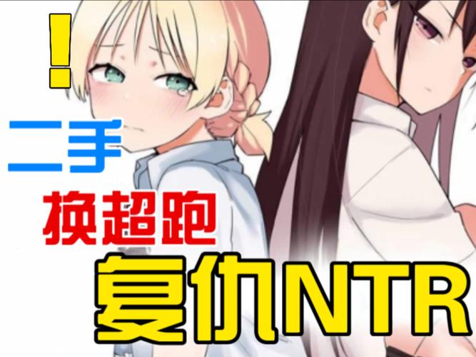 玩转编年史NTR完结版绅士游戏，超详细攻略助你轻松上手！