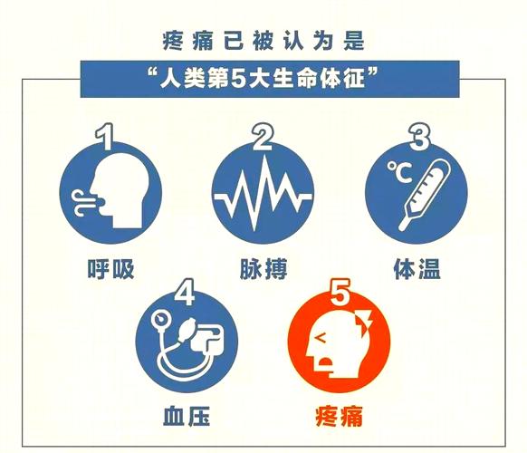 如此剧烈的疼痛最新版本是多少？最新版本号和更新内容都在这！