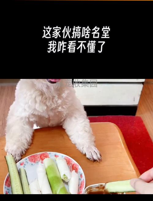 隔壁老王最新又搞什么名堂？吃瓜群众前排围观最新进展！