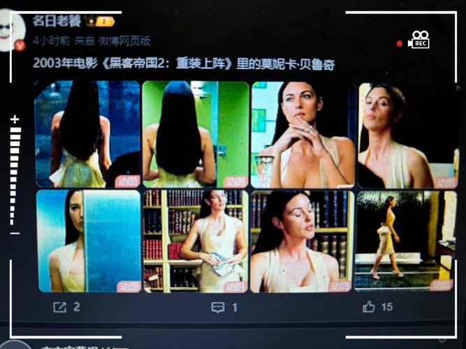 时尚女王莫妮卡第2季完结官方网站最新消息！独家花絮抢先看！