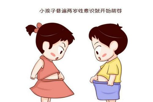 性启蒙游戏下载