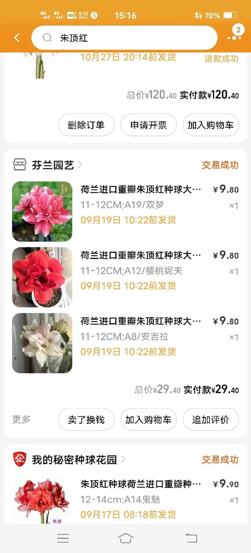 小绿山官方正式版下载最新版哪里找？认准官方渠道最靠谱！