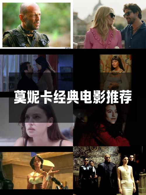 时尚女王莫妮卡第2季完结最新追剧指南，一口气看完真过瘾！