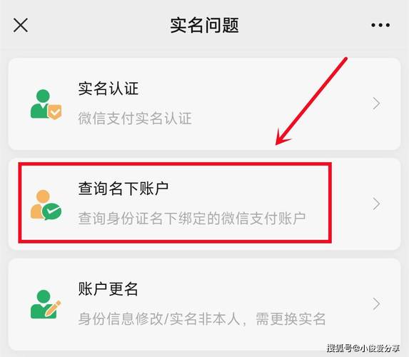 萨沙的启蒙最新版本是多少？一招教你快速找到信息！