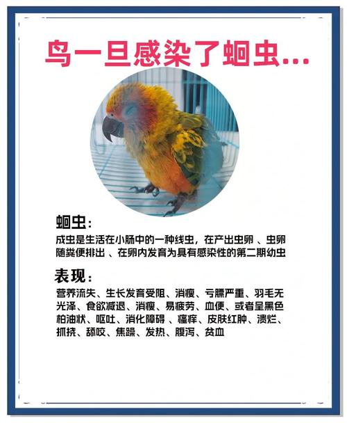 远离内部寄生虫困扰，就从内部寄生虫官方网站开始！