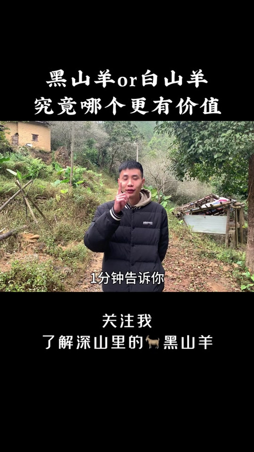 黑山羊之夜更新地址哪里有？最新有效链接都在这儿！