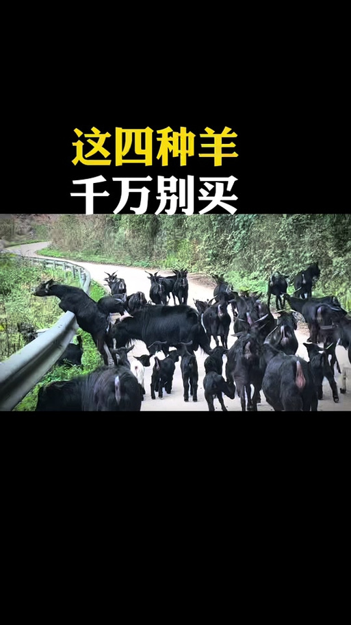 黑山羊之夜更新地址哪里有？最新有效链接都在这儿！