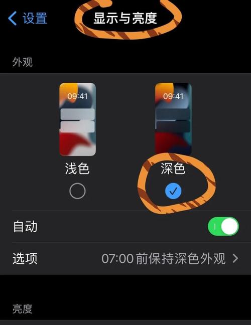 内部寄生虫安卓打不开怎么办？这些解决方法超管用