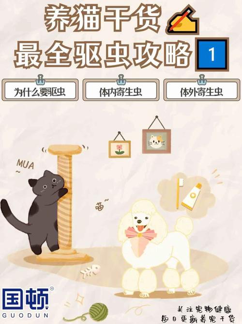 内部寄生虫游戏攻略难不难？掌握这几点轻松过关没问题！