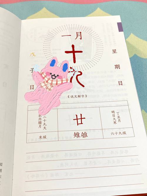 五日寸止版本大全哪里有？超全合集让你一次看个够！