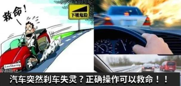 五日寸止如何下载才靠谱？老司机教你几招搞定。