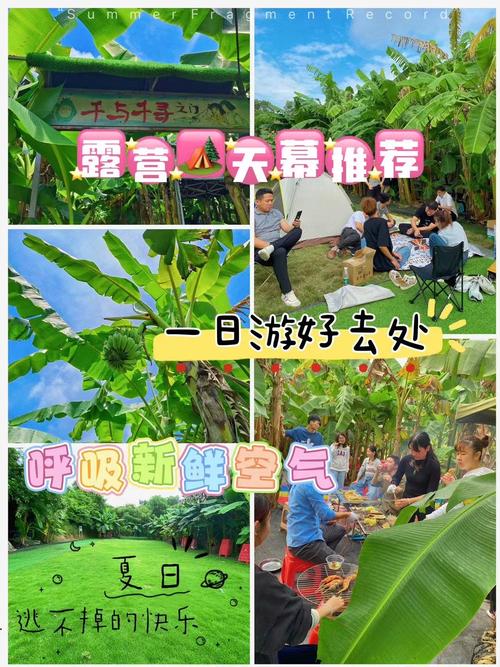 夏日狂欢安卓最新版本更新 (快来体验不一样的夏日乐趣)