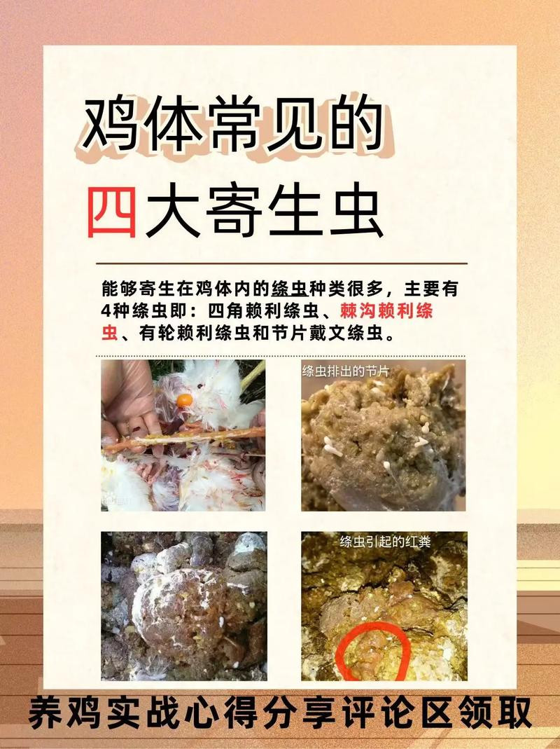 查找内部寄生虫版本大全？这里有最常见的几种介绍！
