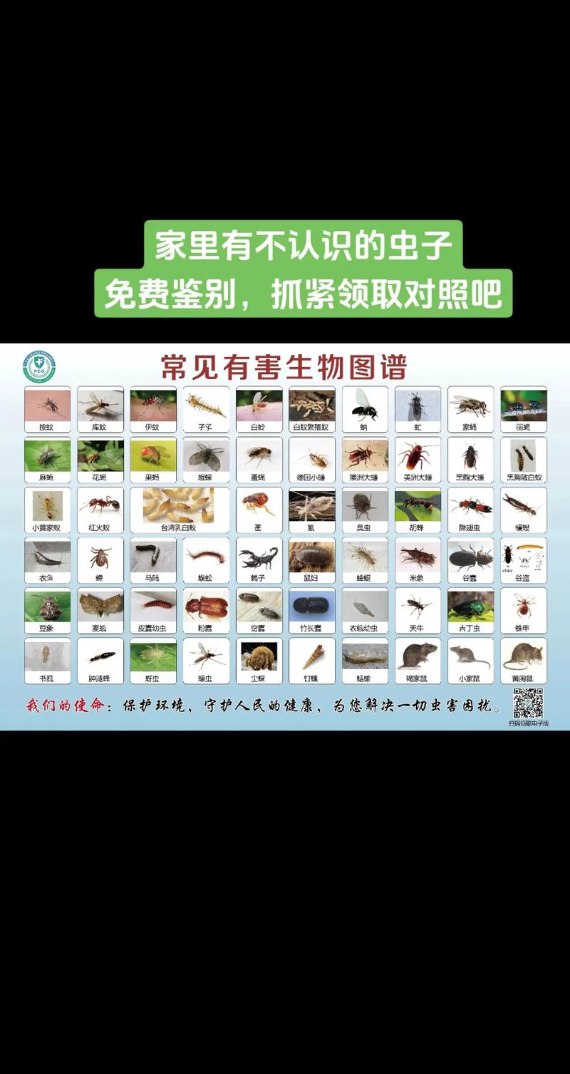 查找内部寄生虫版本大全？这里有最常见的几种介绍！