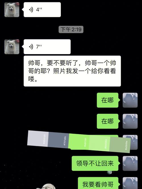 好色小姨安卓汉化