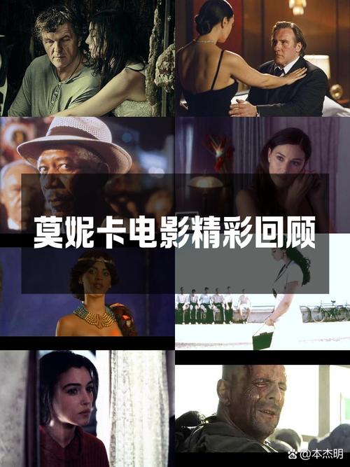 求时尚女王莫妮卡第2季完结在哪下载资源？(高清版下载入口在这)