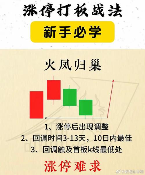 归巢官网是哪个？认准这个官方入口就不会错！