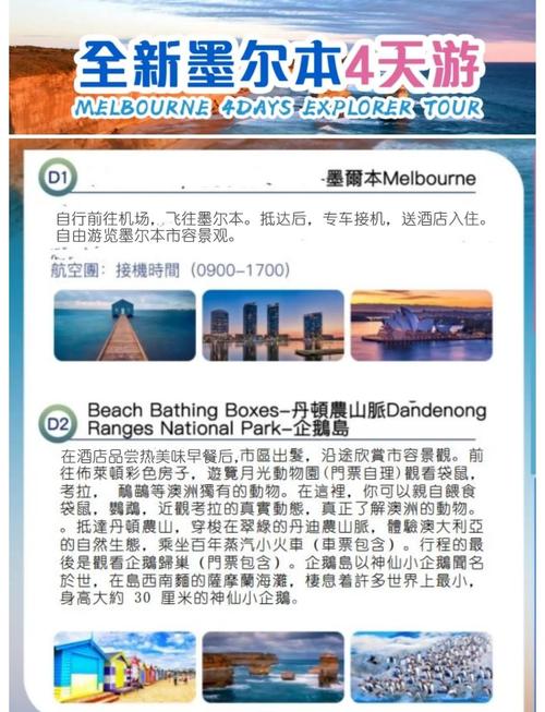 归巢安卓最新版本更新了啥？(一分钟带你了解全部亮点)