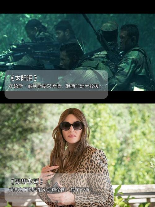 时尚女王莫妮卡第3季完结更新地址大公开！最新在线观看入口。