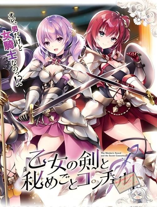 少女之剑与秘密的协奏曲安卓汉化怎么安装？新手看这篇就够了！