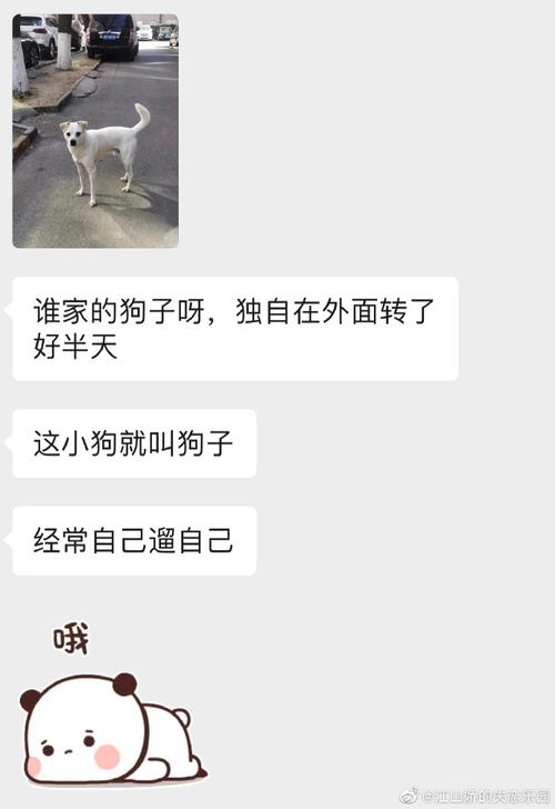 小绿山安卓有哪些隐藏技巧？大神教你玩转它！