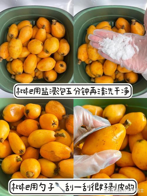 小绿山官方网站是哪个？别找错了认准这个官方的！