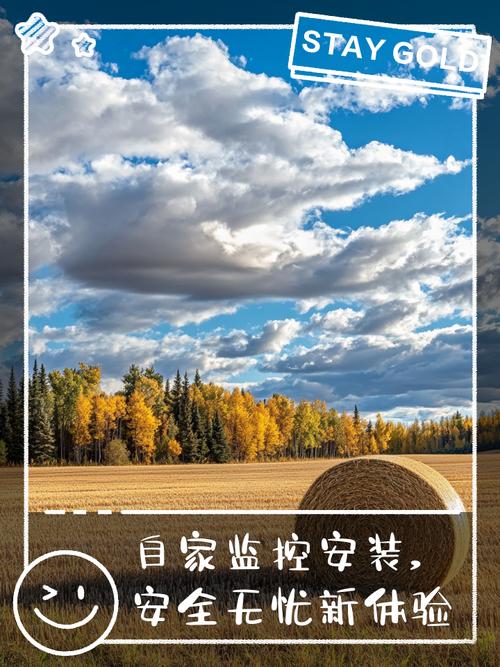 小绿山安卓汉化最新版来了，一键安装畅玩无忧体验！