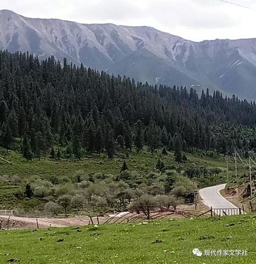 小绿山最新版本是多少，一招教你快速查到最新版。
