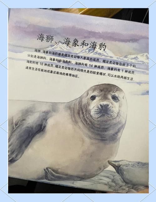 想了解海豹社30部合集最新版本是多少？这里有你想知道的答案！