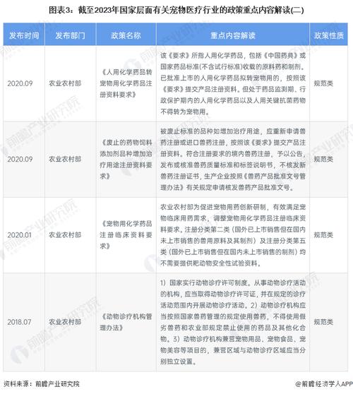 2023年代理机构最新政策解读与应对策略