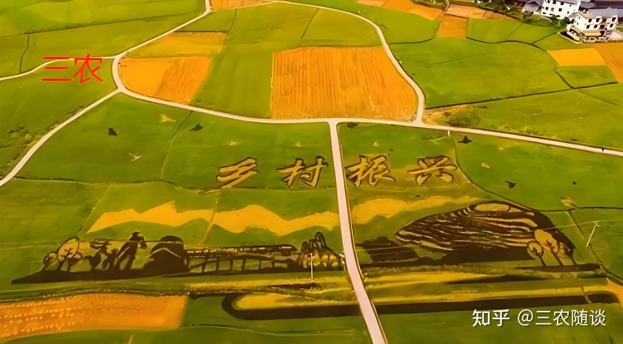 2023乡村改造最新版本三大亮点抢先看