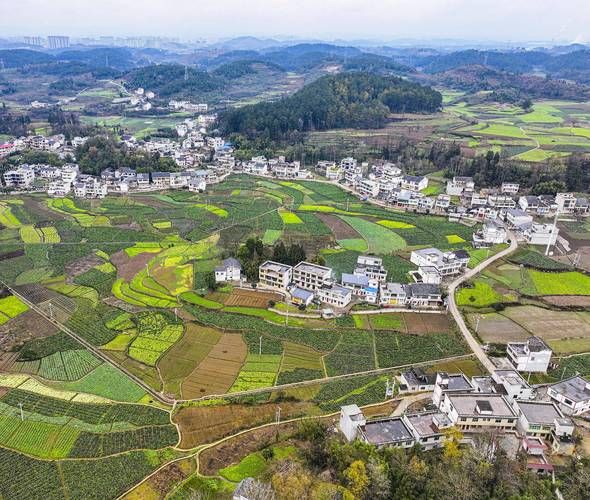 2023乡村改造最新版本三大亮点抢先看