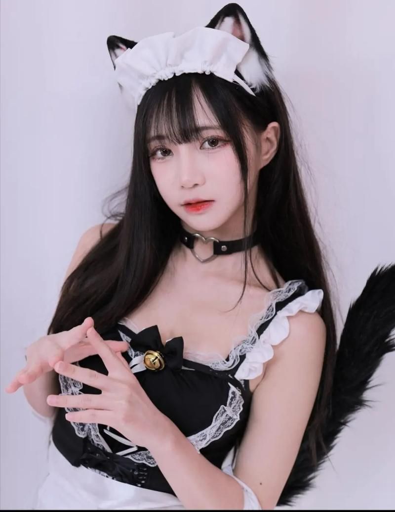 coser2官方网站下载安装教程 手把手教你玩转coser2
