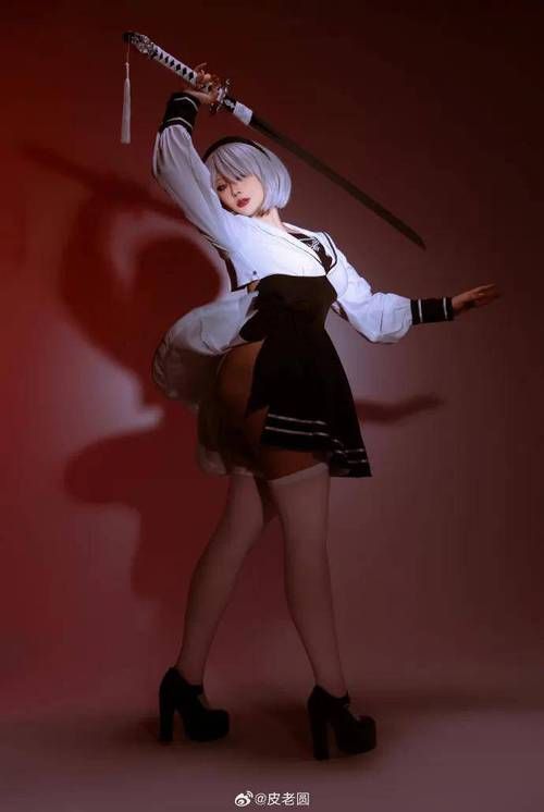 coser2官方网站下载安装教程 手把手教你玩转coser2