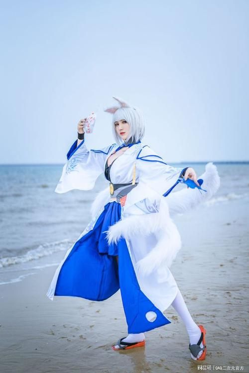 coser2如何下载 详细图文教程一看就会