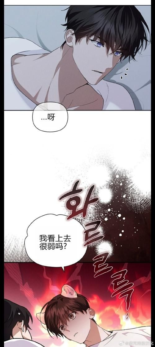 282部汉化版究极整合更新 最新资源一网打尽
