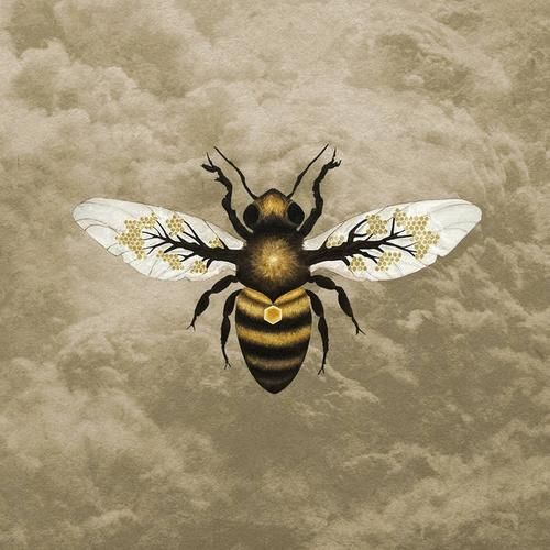HoneySun汉化版最新更新内容盘点 这些变化你发现了吗