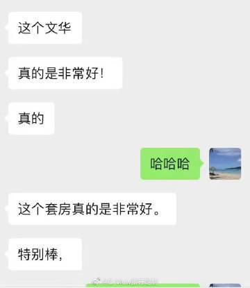 HoneySun如何下载 最新版安装包获取方法分享