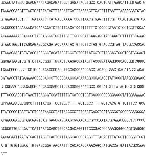 HGTA版本大全最新整理 一文了解所有版本区别