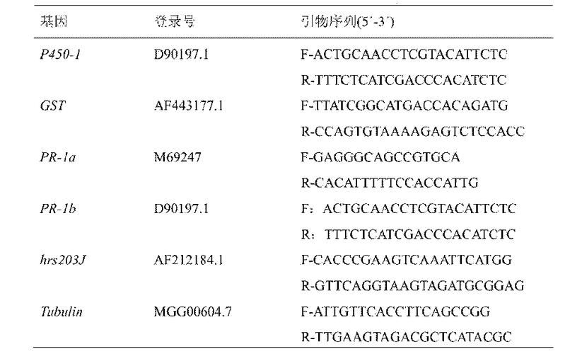 HGTA版本大全最新整理 一文了解所有版本区别