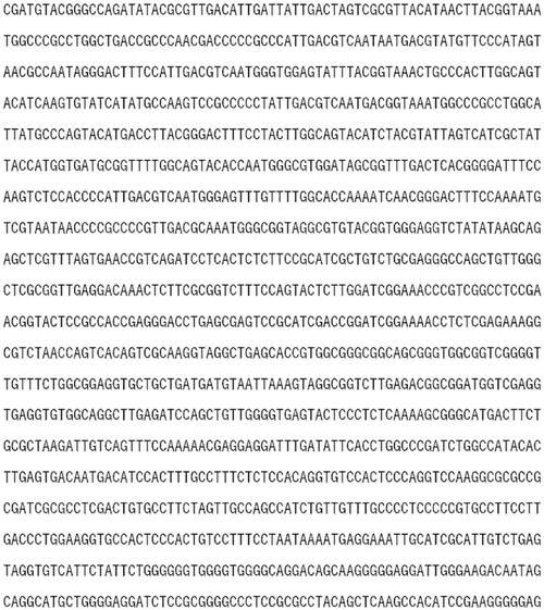 HGTA版本大全最新整理 一文了解所有版本区别