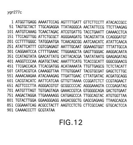 HGTA最新版本号查询 当前版本更新内容介绍
