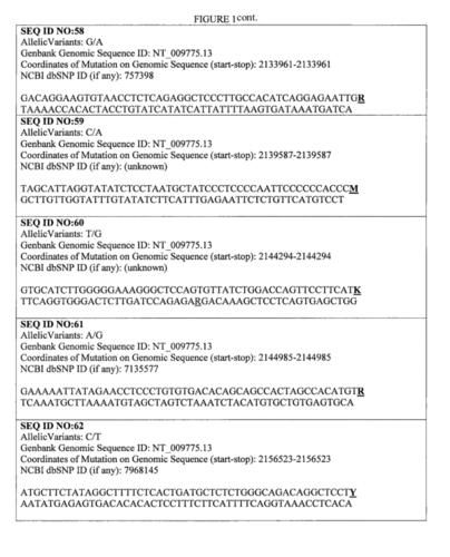 HGTA最新版本号查询 当前版本更新内容介绍