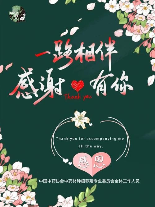 ETO女孩子的美妙生活地址更新通知
