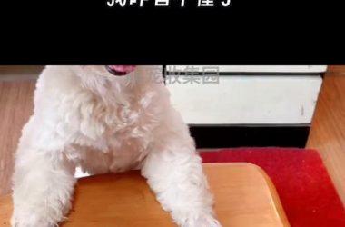 隔壁老王最新又搞什么名堂？吃瓜群众前排围观最新进展！-H游盘