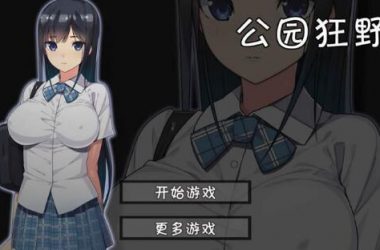 好玩的红心游戏安卓汉化有哪些？这几款百玩不厌！-H游盘