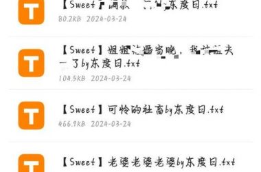 SOB东京热安卓汉化哪个版本好？老玩家分享选择心得-H游盘